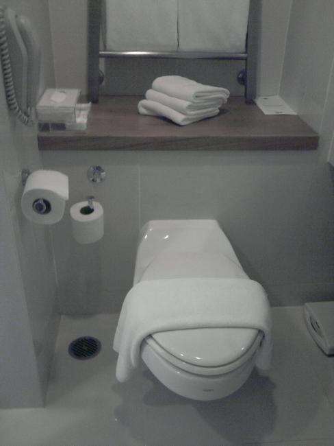 toilet 3_resize.jpg